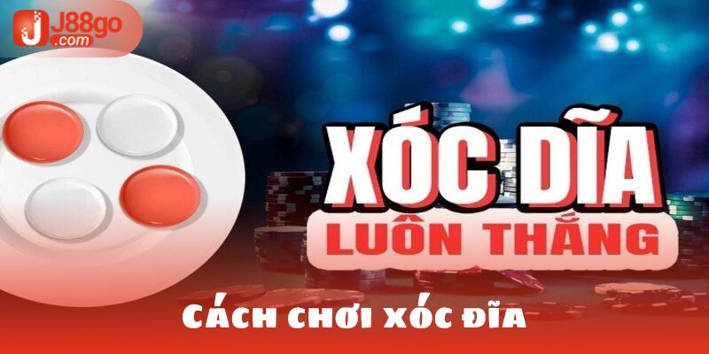 cách chơi xóc đĩa luôn thắng