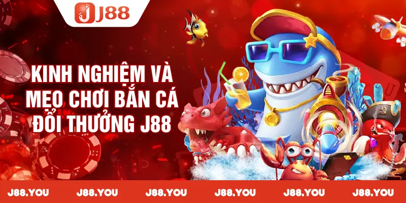 Tổng hợp các kinh nghiệm và mẹo săn cá hiệu quả nhất