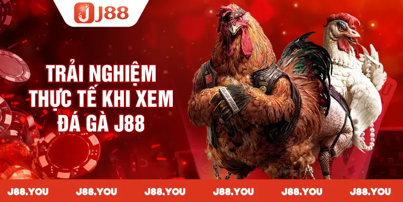 Trải nghiệm giải trí vừa chân thực vừa hấp dẫn, giúp người chơi hòa mình vào thế giới của những chiến kê dũng mãnh